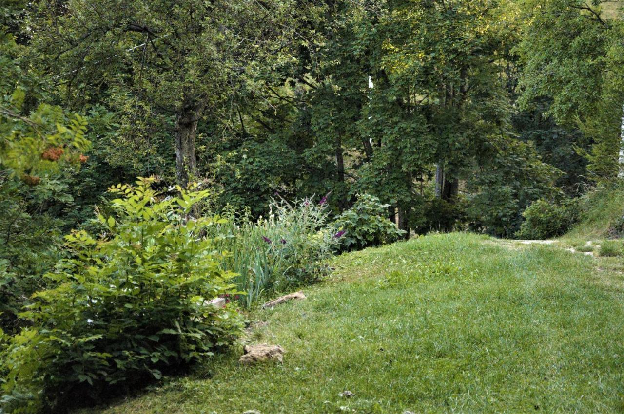 Bed and Breakfast Il Sanco Selva di Progno Exterior foto