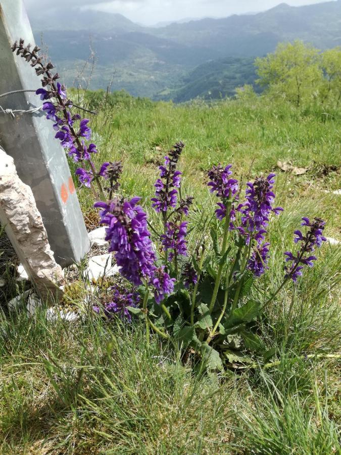 Bed and Breakfast Il Sanco Selva di Progno Exterior foto